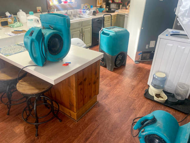 Best 24-hour water damage restoration  in Hastings, PA