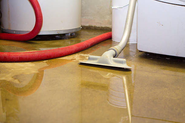 Best Water damage cleanup near me  in Hastings, PA