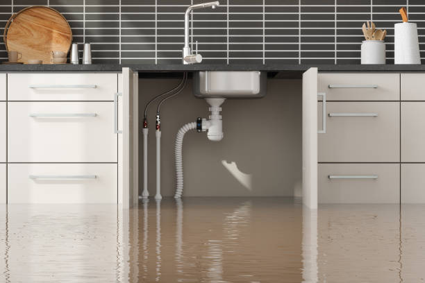 Best Water damage repair service  in Hastings, PA