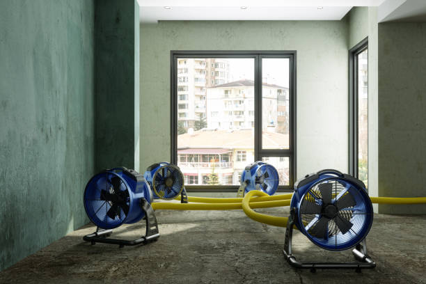 Trusted Hastings, PA Water damage restoration Experts