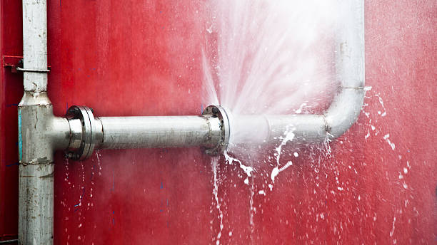 Best Mold removal after water damage  in Hastings, PA