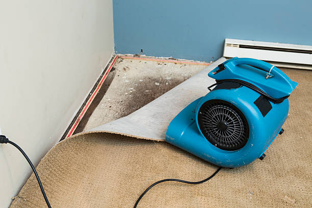 Best 24/7 water damage repair  in Hastings, PA